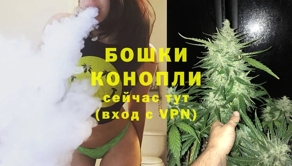 крисы Киренск