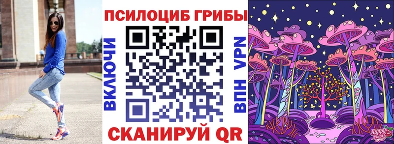 Купить  Георгиевск  Псилоцибиновые грибы GOLDEN TEACHER 